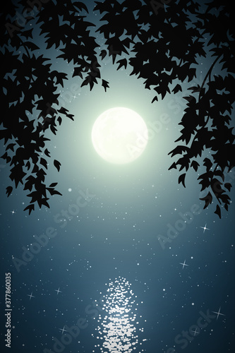 Landscape with lake framed by branches on moonlight night. Blue mysterious background with full moon in starry sky. Vertical vector illustration for use in polygraphy, textile, design, interior decor