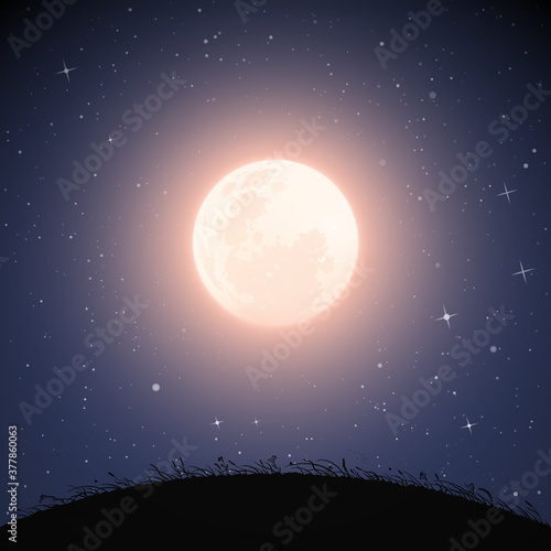 Landscape with grassy hill on moonlight night. Navy blue mysterious background with full moon in starry sky. Square vector illustration for use in polygraphy, textile, design, interior decor