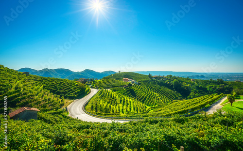 Vineyards and road. Prosecco Hills, Unesco Site. Valdobbiadene, Veneto, Italy photo