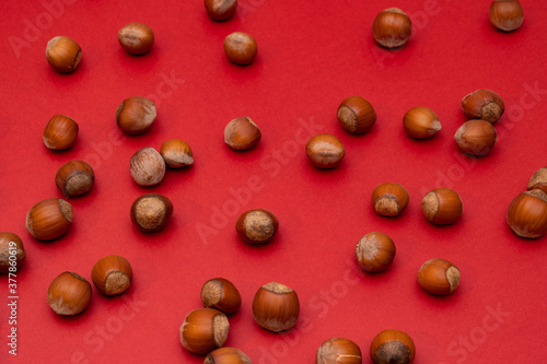 Hazelnuts on a red background. Nuts. Minimalistic composition. Background for text or design