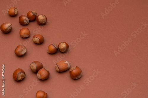 Hazelnuts on the left side on a brown background. Nuts. Minimalistic composition. Background for text or design