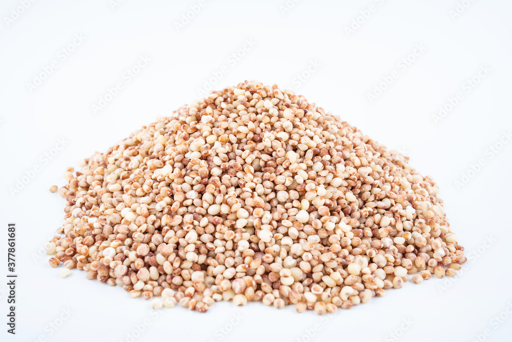 A pile of cereal grain sorghum rice on white background