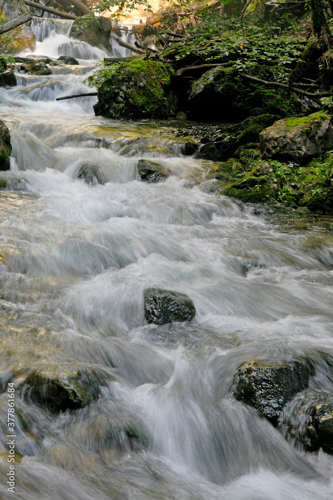 Fototapeta premium Der Trefflingbach in der Ötschergegend, ein erholsames Wandergebiet