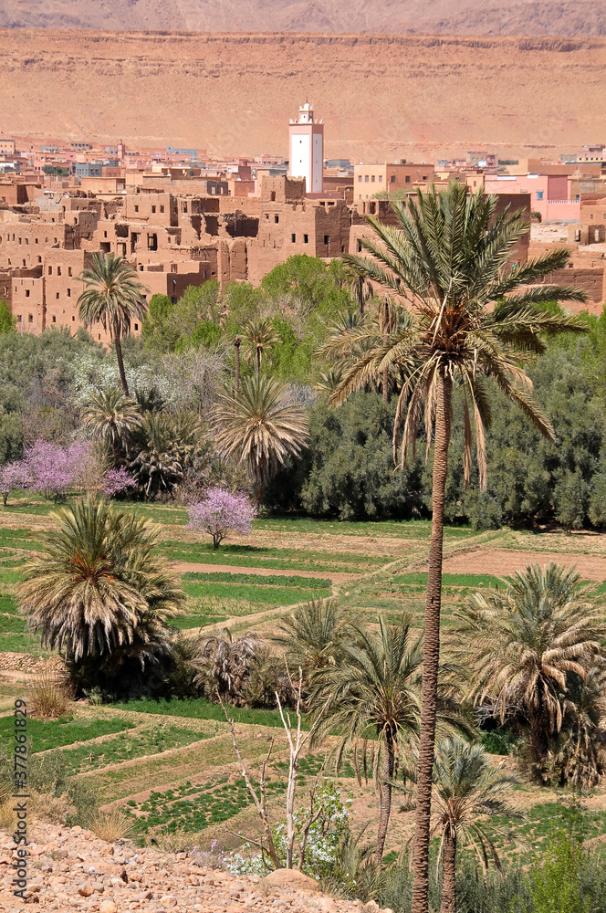 Paisaje agrícola en el pueblo de Alnif en el sur de Marruecos