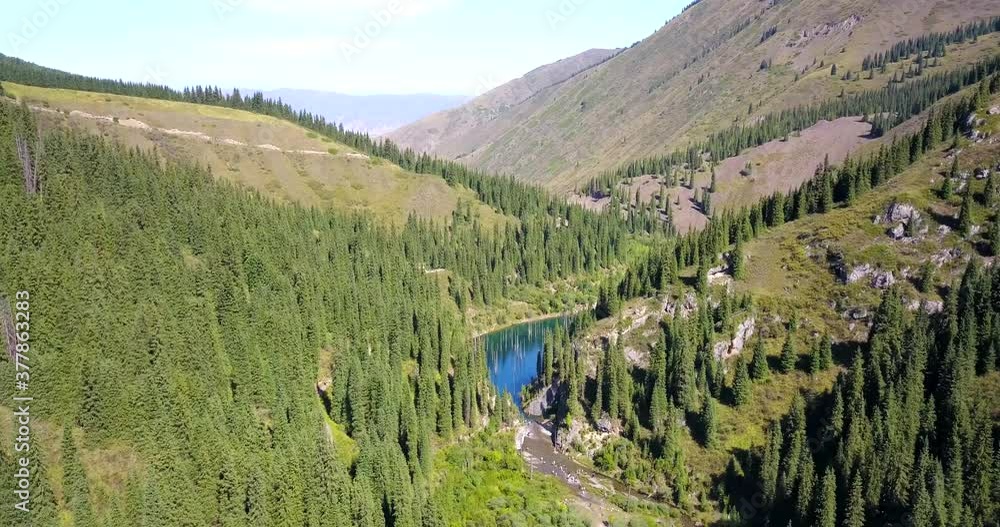 Coniferous trees rise from the depths of a mountain lake. Top view from the drone. On the shore you can see rocks, green forest and grass growing. Kaindy Lake, Kazakhstan. Groups tourists are resting. Coniferous trees rise from the depths of a mountain lake. Top view from the drone. On the shore you can see rocks, green forest and grass growing. Kaindy Lake, Kazakhstan. Groups tourists are resting.