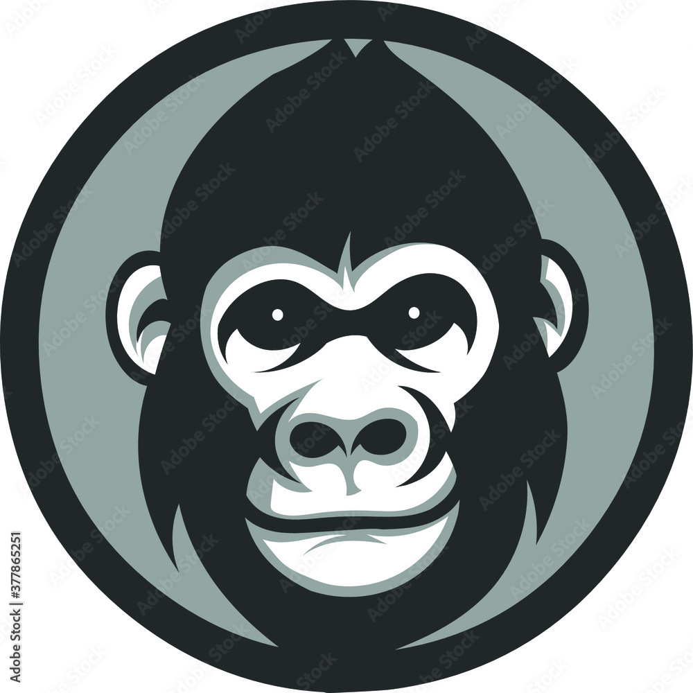 Gorilla vector Gorilla vector