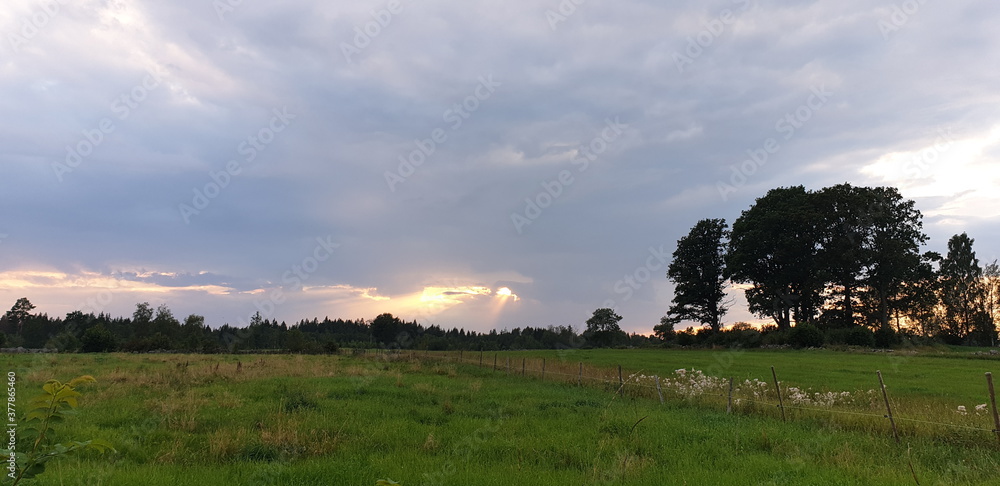 Fototapeta premium sunray over meadow