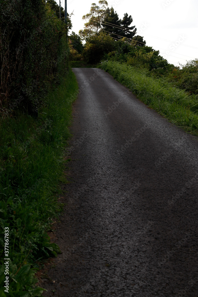 Path in the countryside