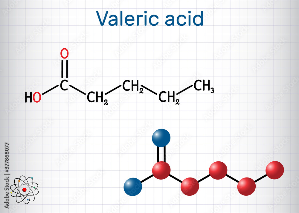 Valeric acid, pentanoic acid or valerate molecule. Structural chemical formula and molecule model. Sheet of paper in a cage Valeric acid, pentanoic acid or valerate molecule. Structural chemical formula and molecule model. Sheet of paper in a cage