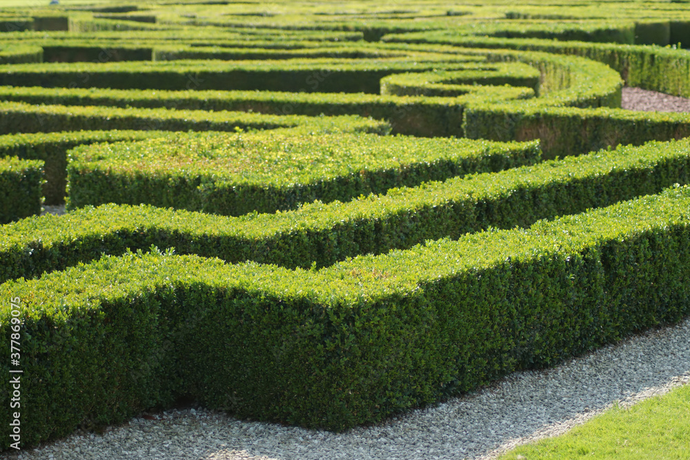 Im grünen Labyrinth - Schlosspark Nordkirchen