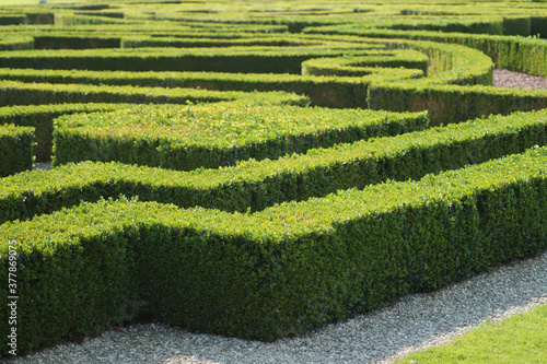 Im gr  nen Labyrinth - Schlosspark Nordkirchen