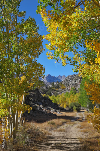  A dirt trail  on a fine day