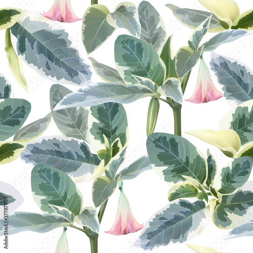 Brugmansia angel trumpet beautiful seamless pattern
