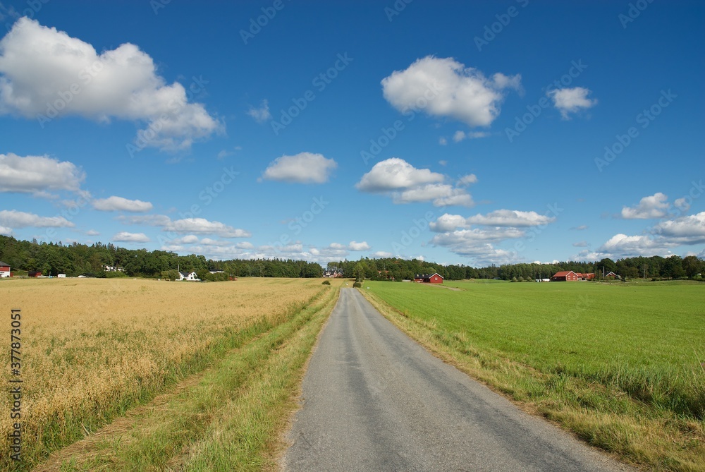 Swedish landscapes in the summer