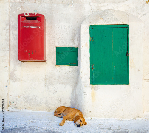 Island of Ponza, Italy. August 16th, 2017. A dog takes a nap on a hot summer afternoon. © Alessandro