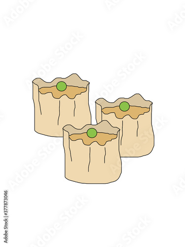 illustration of a Shumai