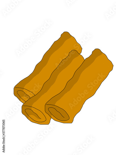 illustration of a Spring Rolls