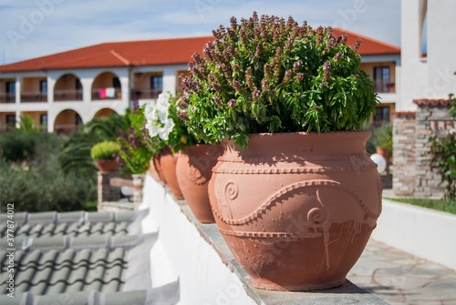 pots in the street