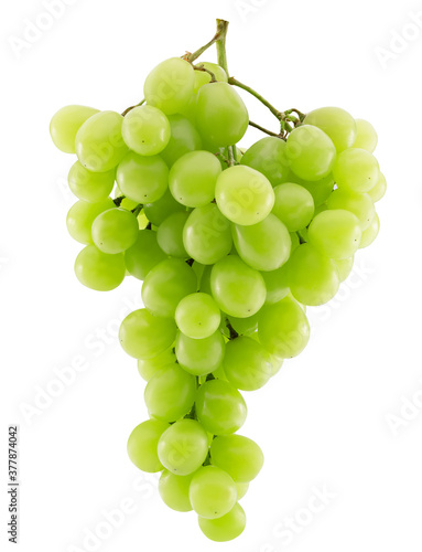 green grapes isolated on a white background