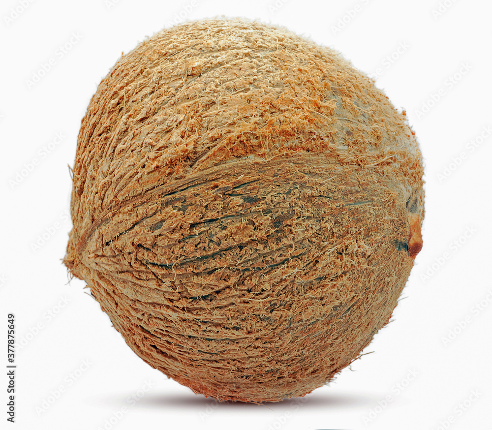 Coconut fruit isolted on white background Coconut fruit isolted on white background