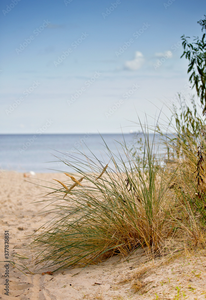 Baltic sea coast, Baltic sea and sandy beach on a summer day