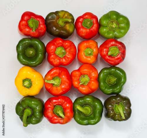 four rows of multi-colored peppers on a white background