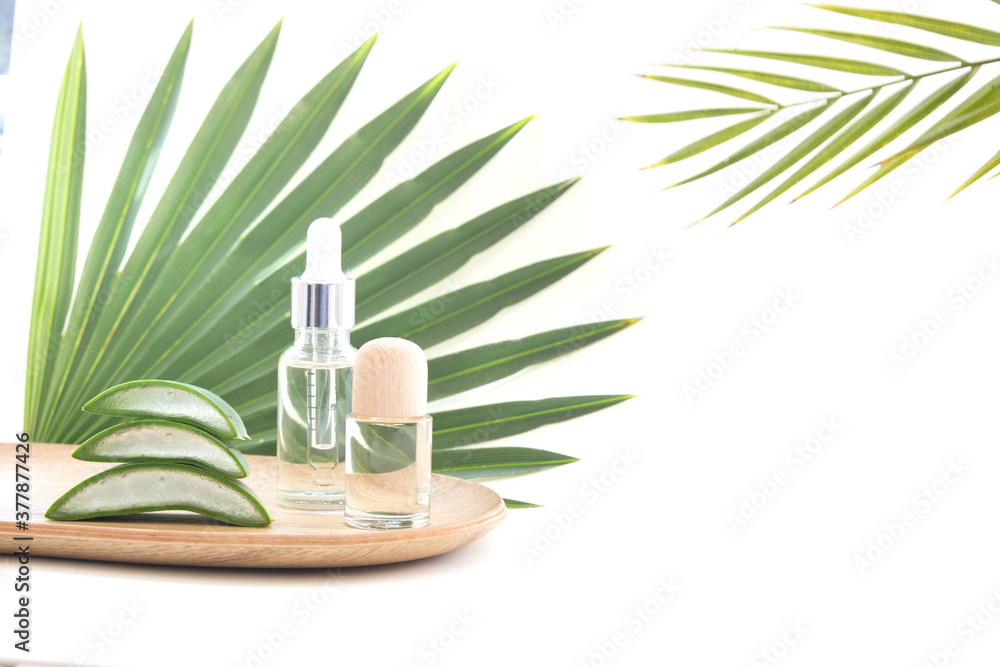 Aloe Vera leaf slice with essential oil. Aloe Vera leaf slice with essential oil.