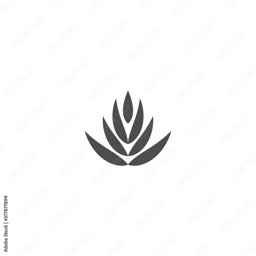 Flat Lotus flower icon isolated on white background. Symmetrical sharp lotus petals. Flat Lotus flower icon isolated on white background. Symmetrical sharp lotus petals.