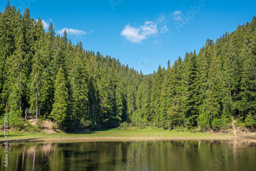 A picturesque lake in the middle of a coniferous forest in the mountains. Synevyr.