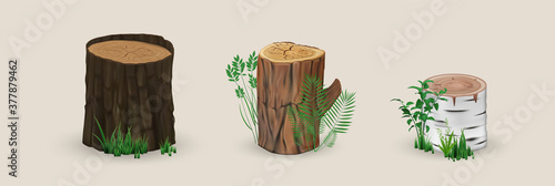 Realistic wood stumps mockup. Collection of realism style drawn wooden cutting and textured planks on white background. Illustration of cracked demolished natural oak birch tree piece of timber.