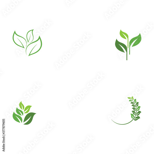 Set Green garden green leaf Logo Template