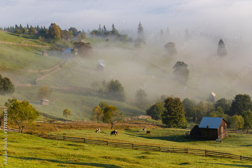 Fototapeta premium Early fall landscape in the beautiful Romanian villages