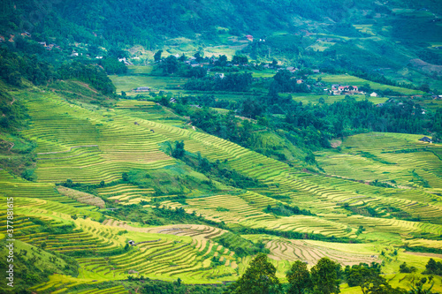 Fototapeta Naklejka Na Ścianę i Meble -  Rice fields on terraced of Mu Cang Chai, YenBai, Vietnam. Rice fields prepare the harvest at Northwest Vietnam.Vietnam landscapes