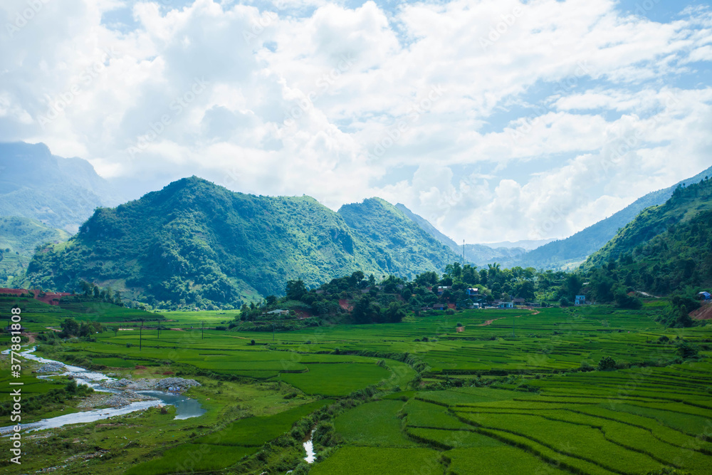 Rice fields on terraced of Mu Cang Chai, YenBai, Vietnam. Rice fields prepare the harvest at Northwest Vietnam.Vietnam landscapes