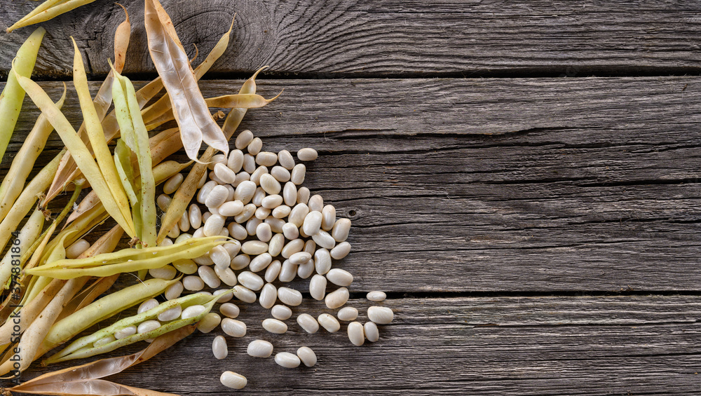 Dry pot and white seed of string bean Dry pot and white seed of string bean