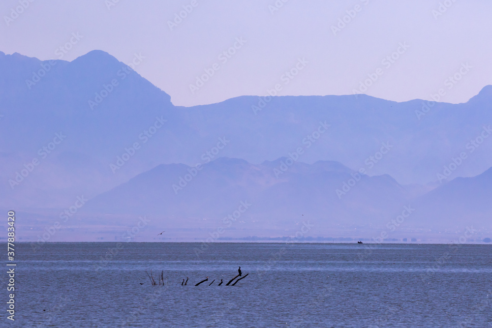 Soft pink sunsets and mountain landscapes, birds on Lake Skadar, amazing nature of Europe and Montenegro