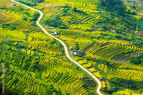 Amazing Rice fields on terraced in rainny seasont at TU LE Valley, Vietnam.Tu Le is a small valley but has beautiful terraces all year round. An attractive tourist destination 250km form Hanoi.