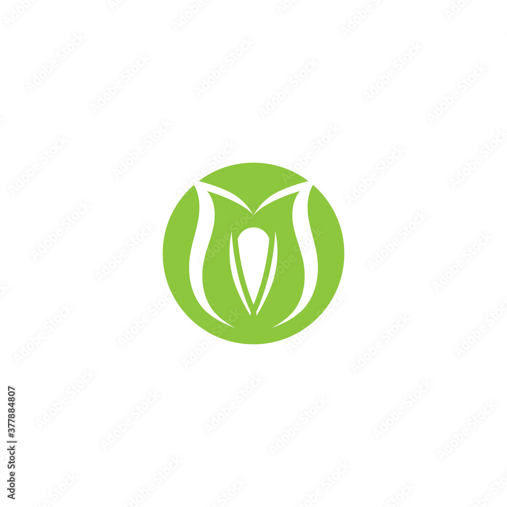Leaf Mint Logo Template vector symbol Leaf Mint Logo Template vector symbol