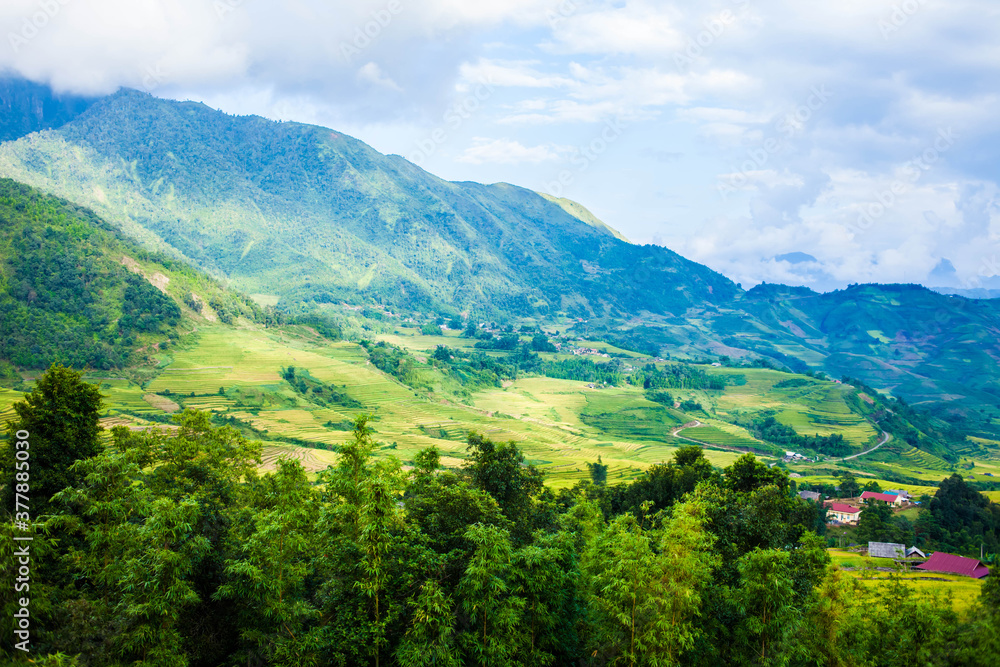 Fototapeta premium Amazing Rice fields on terraced in rainny seasont at TU LE Valley, Vietnam.Tu Le is a small valley but has beautiful terraces all year round. An attractive tourist destination 250km form Hanoi.