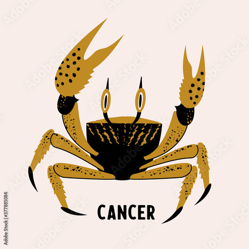 Cancer is a sign of the zodiac. Horoscope and astrology. Vector hand drawn illustration in a flat style.