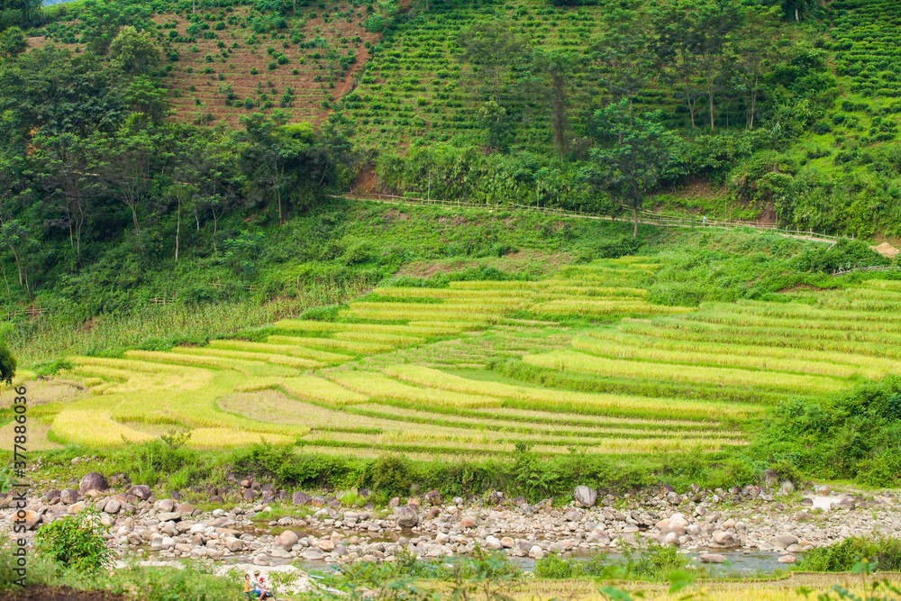 Amazing Rice fields on terraced in rainny seasont at TU LE Valley, Vietnam.Tu Le is a small valley but has beautiful terraces all year round. An attractive tourist destination 250km form Hanoi.