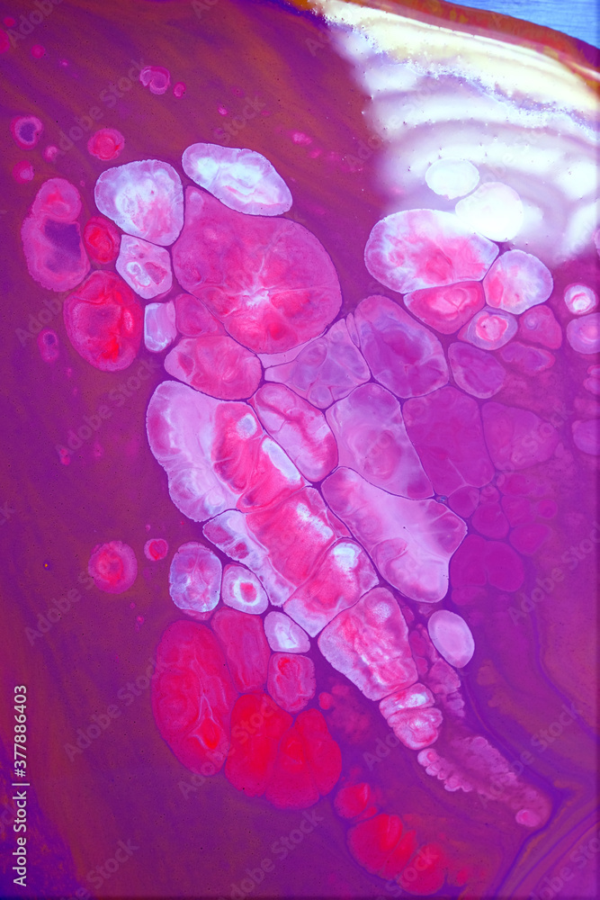 Fototapeta premium Acrylic paint pouring background, Luxury colors.