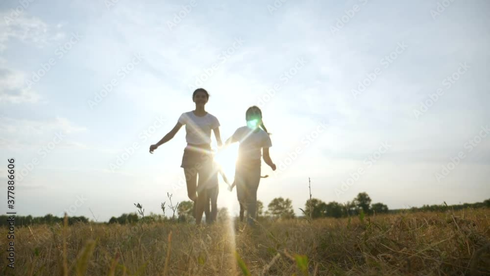 happy family children kids together run are jumping in the park at sunset silhouette. people in the park concept mom dad daughter and son joyful run. parents and little baby child fun summer vacation happy family children kids together run are jumping in the park at sunset silhouette. people in the park concept mom dad daughter and son joyful run. parents and little baby child fun summer vacation