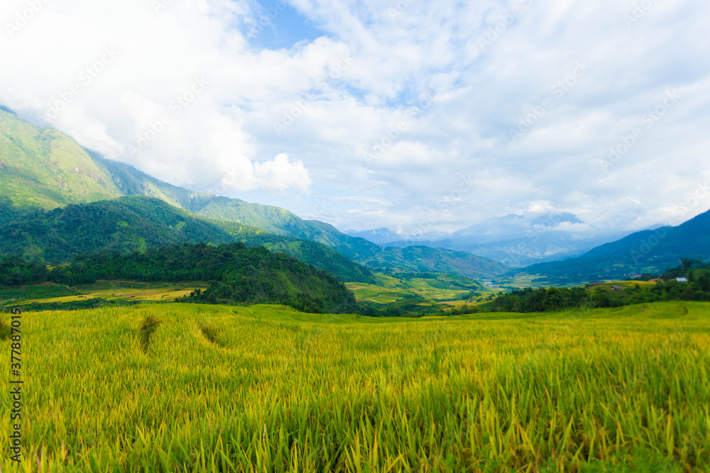 Laocai Vietnam Vietnam Paddy fields, terraced culture, Sapa, Vietnam Laocai Vietnam Vietnam Paddy fields, terraced culture, Sapa, Vietnam