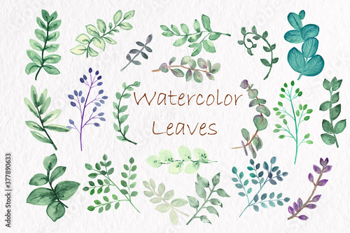 Watercolor Leaf.Watercolor clipart. Watercolor Leaves.Wedding invite card. DIY PNG Digital.Wedding Greenery.Watercolor set Leaves clipart