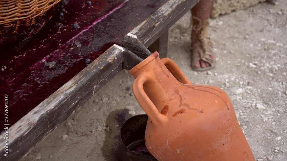 Female feet stomping red grapes at winery making wine. Grapetreading