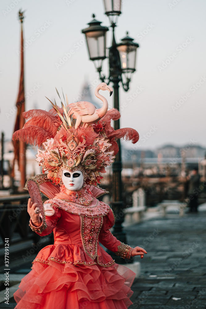 Beautiful carnival costume/mask posing during sunrise at the annual carnival in Venice, Italy