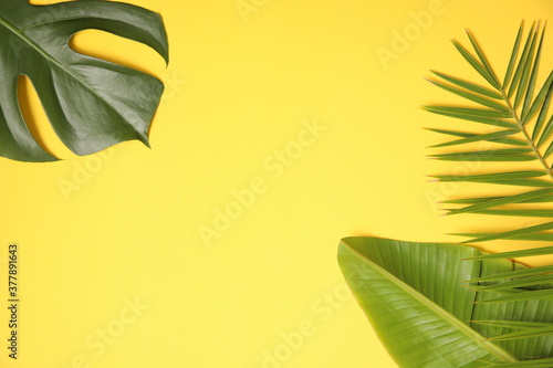Summer background with palm leaves on yellow.