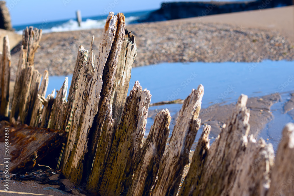 Rotten logs of old harbour . Abandoned fishing berth Rotten logs of old harbour . Abandoned fishing berth