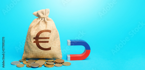 Φωτογραφία Euro money bag and magnet